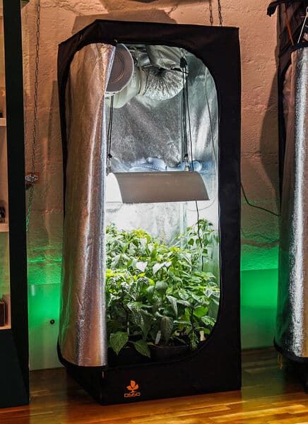 Growboxen & Komplettsets bei GrowCologne in Köln-Deutz