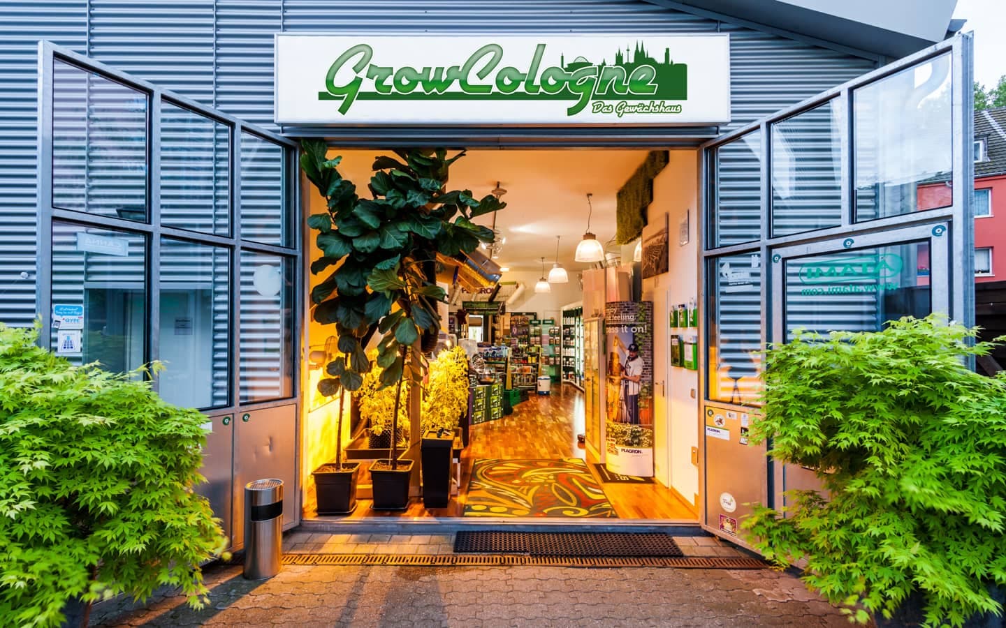 GrowCologne Growshop Köln-Deutz Ladeneingang in der Siegesstraße 6
